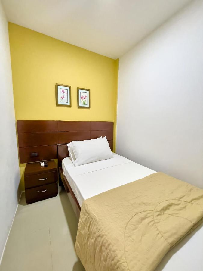 Art Gallery Pensión *